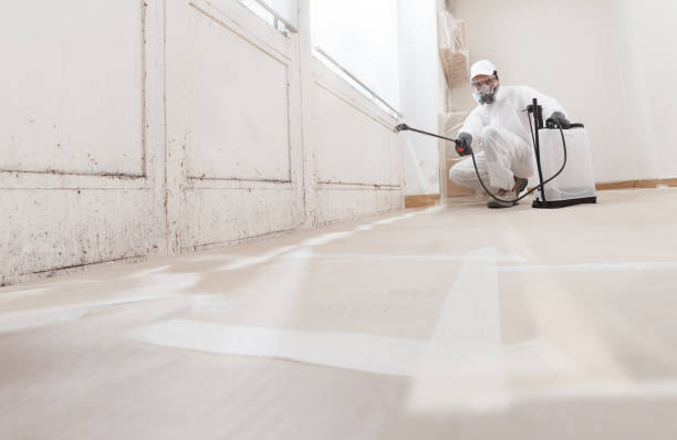 24/7 Emergency Mold Remediation experts in Siler City, NC
